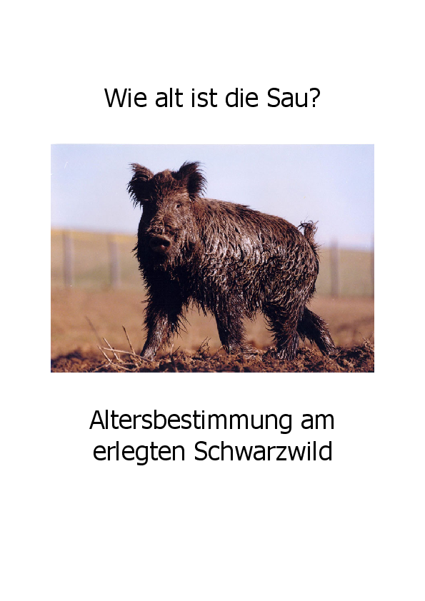 Altersbestimmung Schwarzwild pdf-preview