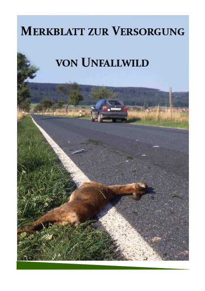 Wildunfall-Merkblatt pdf-preview