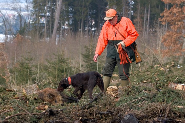 Marek_Hunde_Nachsuche