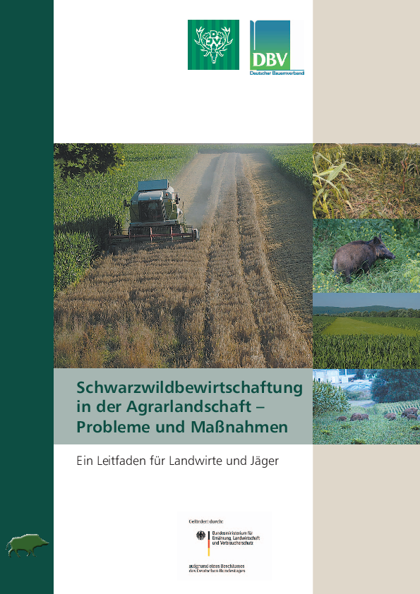 pdf-preview