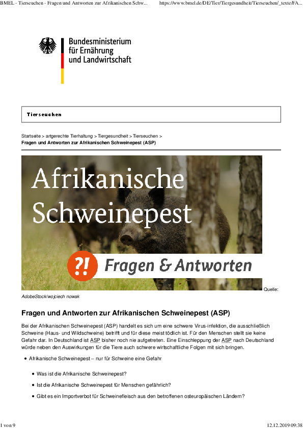 pdf-preview