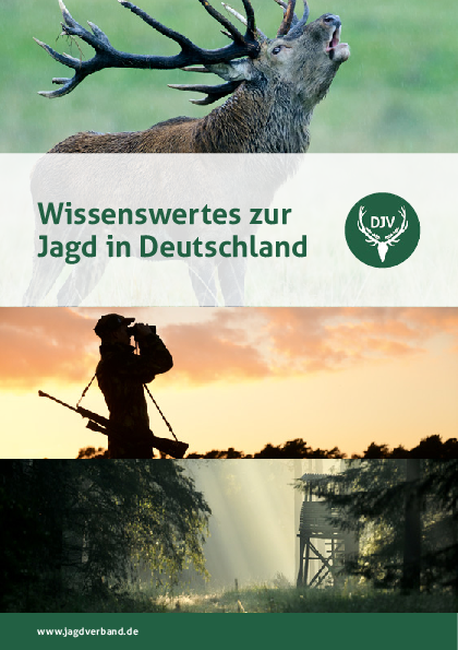 pdf-preview